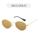 Small Oval Sunglasses