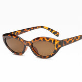 Cat Eye Sunglasses