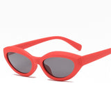 Cat Eye Sunglasses