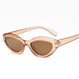 Cat Eye Sunglasses