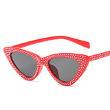 Cat Eye Sunglasses